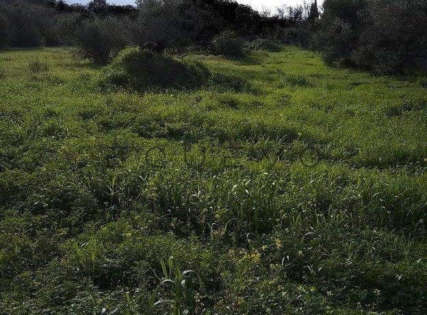 (For Sale) Land Plot || Athens South/Glyfada - 250 Sq.m, 400.000€ 